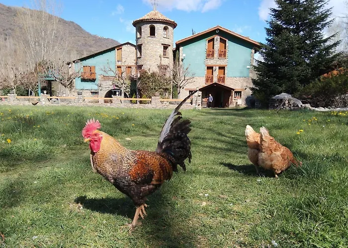 La Borda De Ritort 3* Сорт